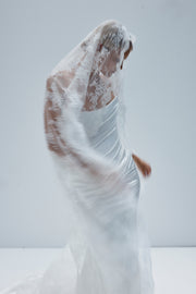 Celeste Veil